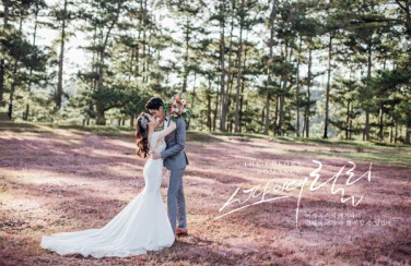 Top 6 Địa điểm Chụp Ảnh Cưới Đẹp ở Đà Lạt