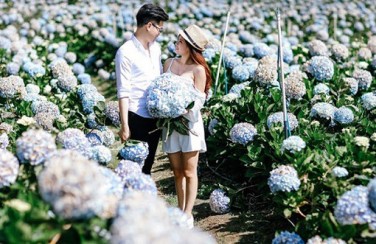 Báo giá chụp ảnh cưới Đà Lạt - Mr.Hanh Phuc