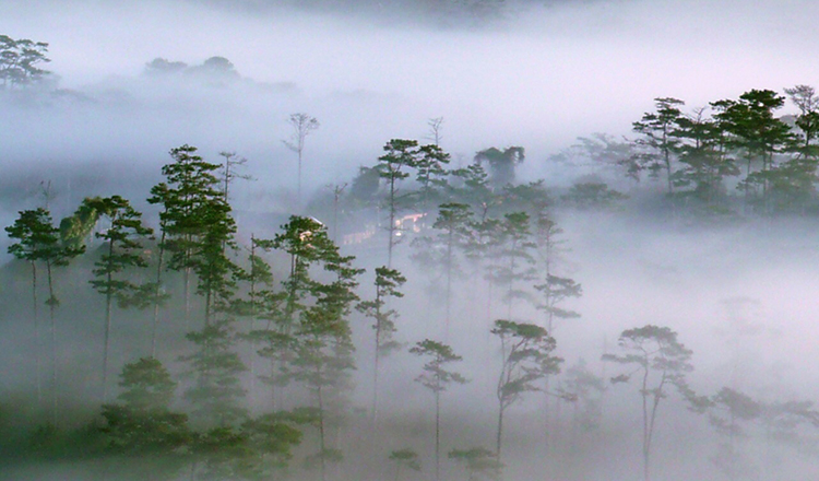 nhung-dia-diem-chup-anh-cuoi-ly-tuong-tai-da-lat-1