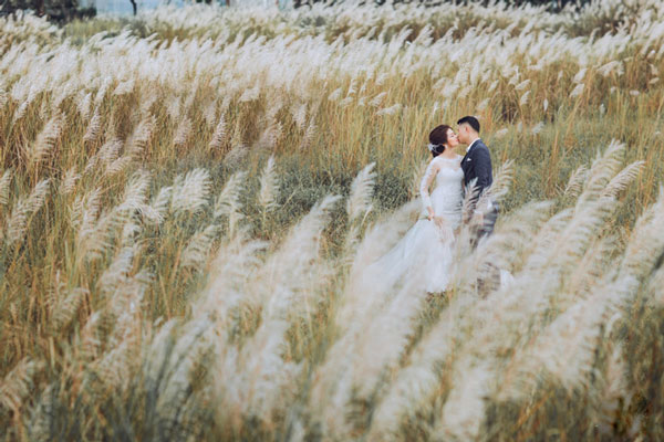 Bãi cỏ lau/ bãi cỏ Châu Âu -chụp ảnh cưới quan lạn