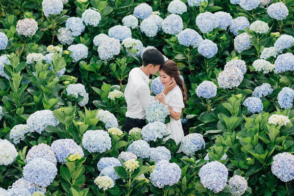 Địa điểm chụp ảnh cưới đẹp ở Đà Lạt