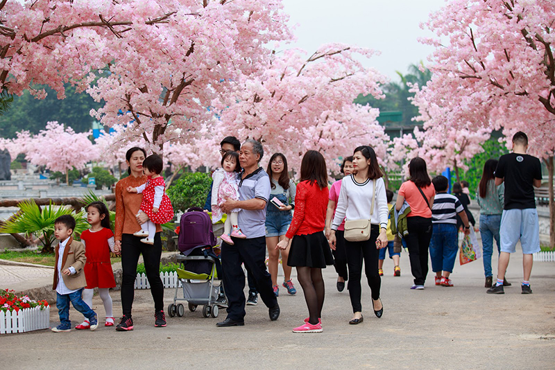 dia-diem-du-xuan-dip-tet-tai-ha-noi-3