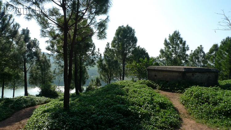 chup-anh-han-quoc-o-hue