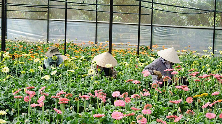 dia-diem-chup-anh-ly-tuong-tai-da-lat-3