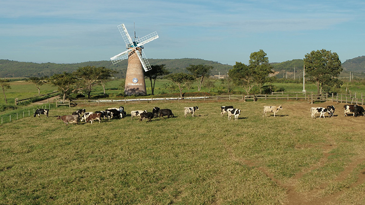 dia-diem-chup-anh-ly-tuong-tai-da-lat-4