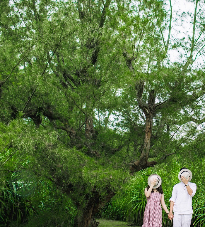 anh-cuoi-tai- coto (21)