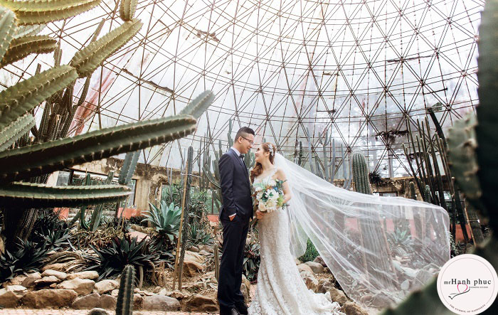 chup-anh-cuoi-dep-o-ha-noi