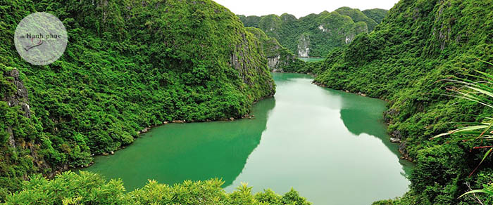 Vườn Quốc Gia Cát Bà