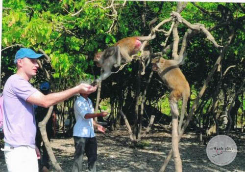 Đảo Khỉ Cat-Ba-32