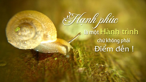 hanh_phuc