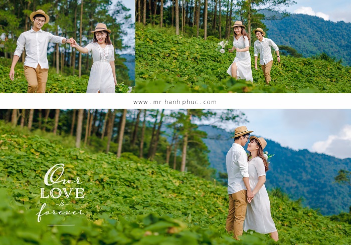 Album ảnh cưới ở Tam Đảo