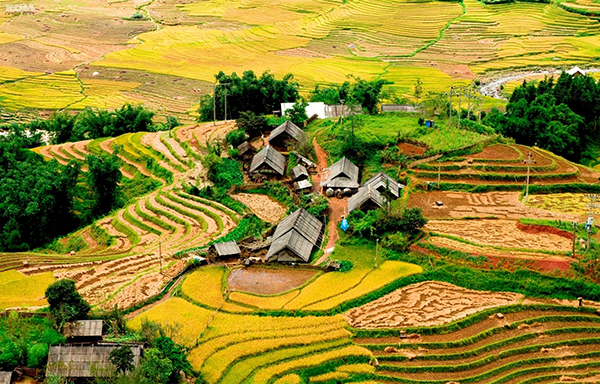 chup-anh-cuoi-tai-sapa