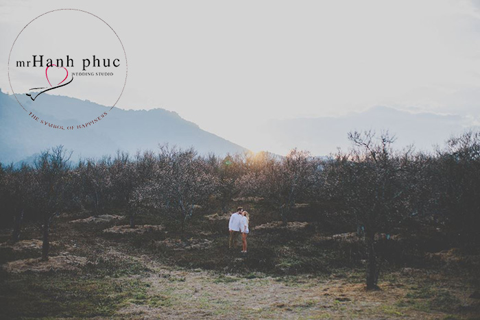 kinh-nghiem-chup-anh-cuoi-moc-chau