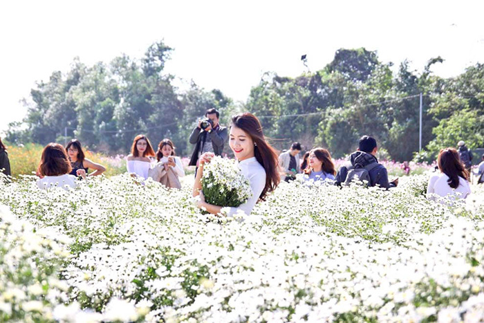 chup-anh-cuoi-tai-vuon-hoa-ly-tu-trong