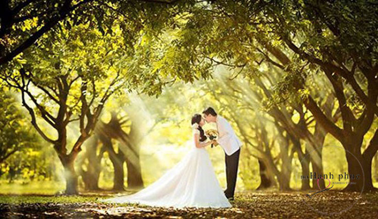 Chụp ảnh cưới ở công viên Bách Thảo
